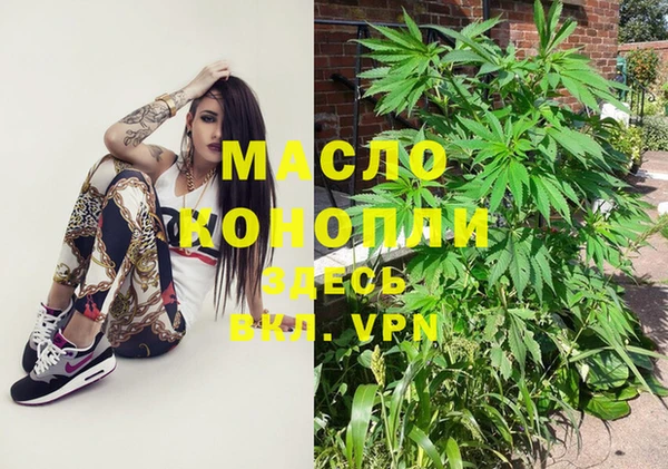 гашик Алексеевка
