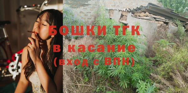 гашик Алексеевка