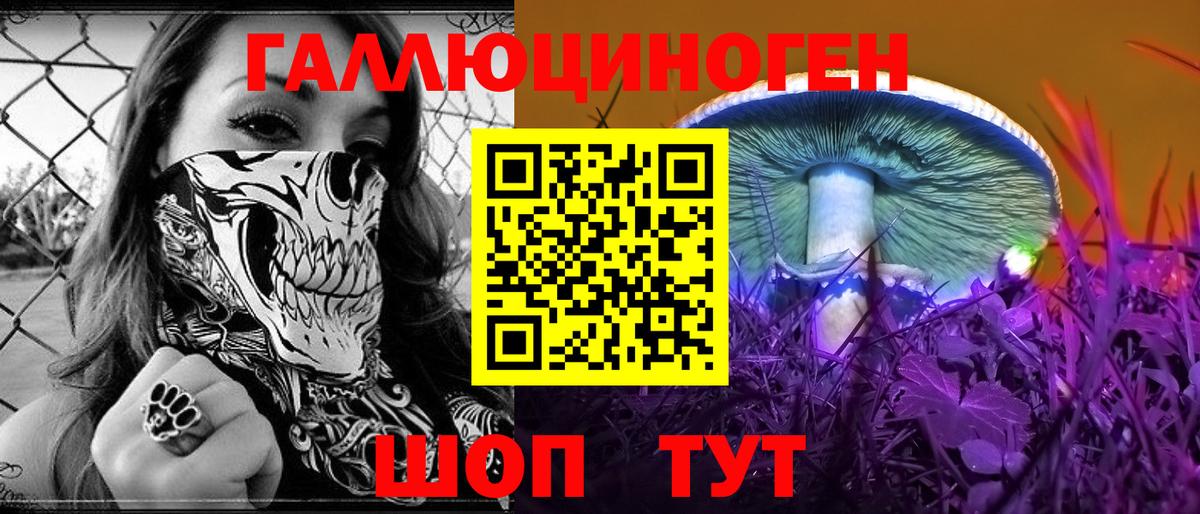 Алексин  магазин    Псилоцибиновые грибы GOLDEN TEACHER  Вход с VPN  Галлюциногенные грибы ЛСД 